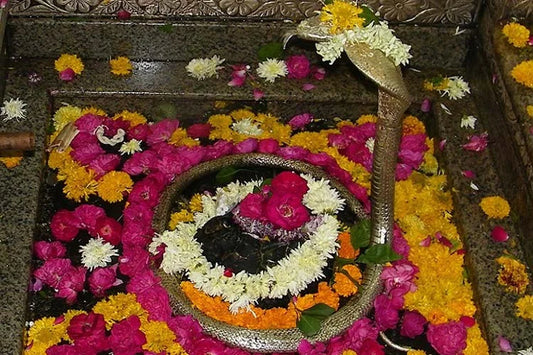 VR Darshan at Omkareshwar